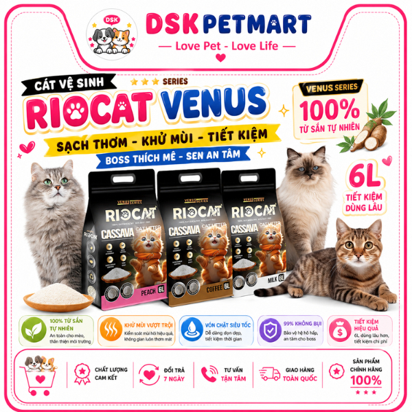 [Venus Series] Cát Sắn RIOCAT CASSAVA 6L Khử Mùi Đỉnh Cao - Không Bụi ...