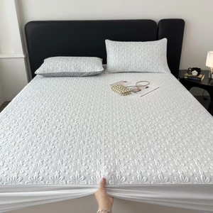 𝐂𝐄𝐄𝐒𝐈 𝐇𝐎𝐌𝐄 - Chiếu băng lạnh công nghệ đến từ Hàn Quốc🌬️
