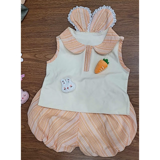 Rập giấy A0( không phải quần áo may sẵn)  áo Tai thỏ quần bí size 1-10