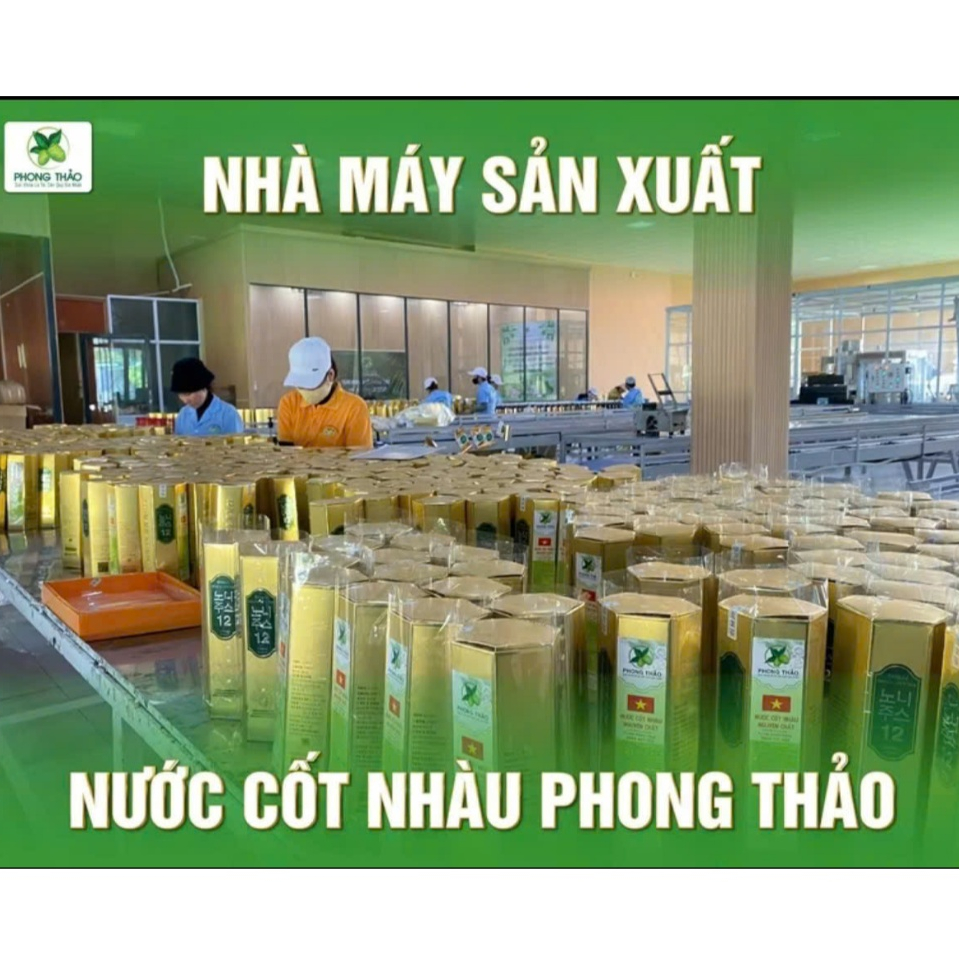 Nước Cốt Nhàu nguyên chất không đường Phong Thảo –  Lên Men Tự Nhiên
