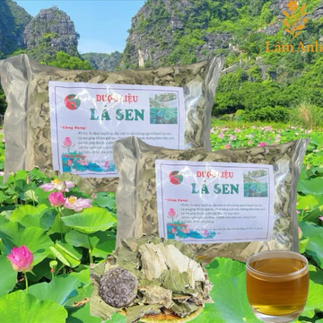 Combo 2Kg Lá Sen Khô (Sao Vàng Hạ Thổ) Hỗ Trợ Ổn Định Huyết Áp, Hỗ Trợ Mỡ Máu, Giúp Ngủ Ngon, Thanh Lọc Cơ Thể