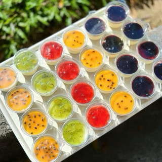 [HỎA TỐC] Panna Cotta Trái Cây Mini (75ml) – Mix Nhiều Vị Tráng Miệng Ăn Vặt Nhà Làm