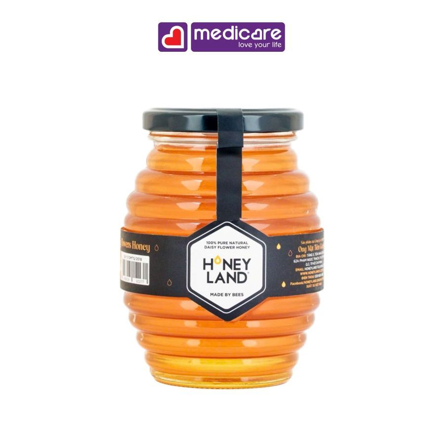 Mật Ong Hoa HONEY LAND Hũ 110g