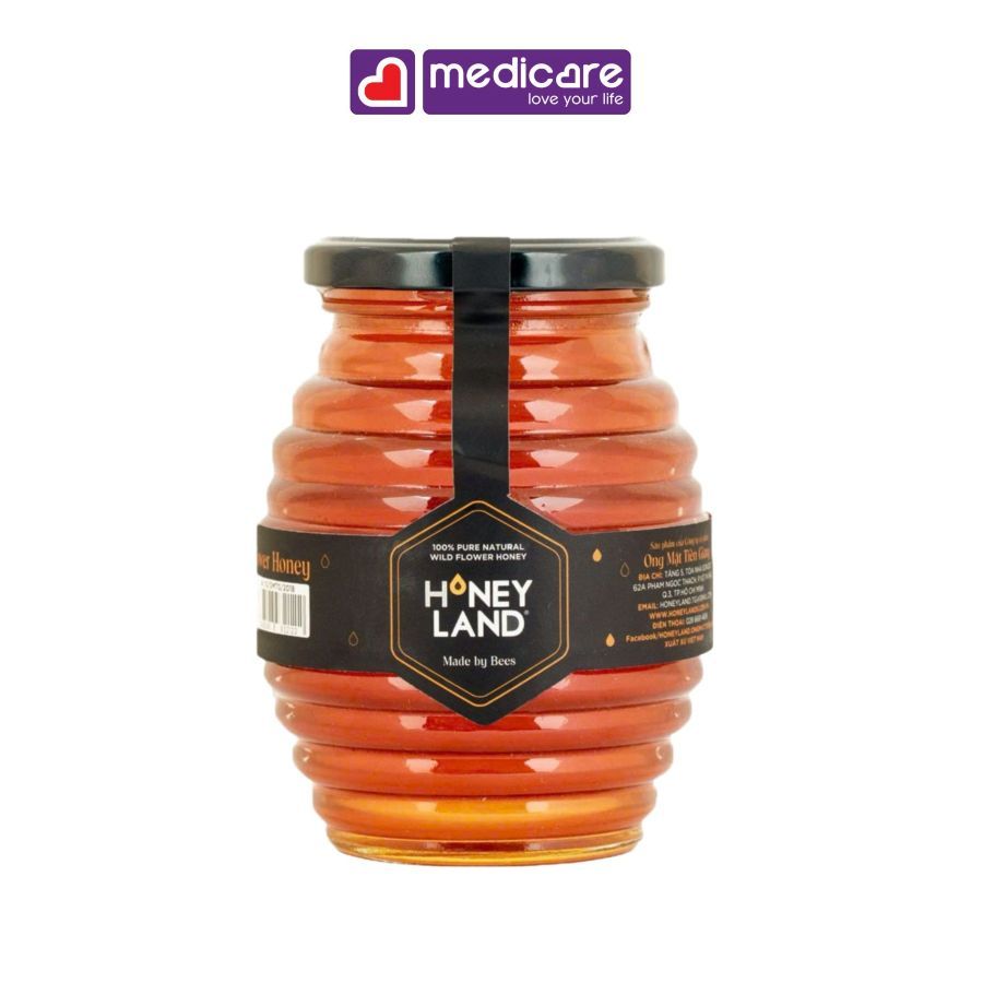 Mật Ong Hoa HONEY LAND Hũ 110g