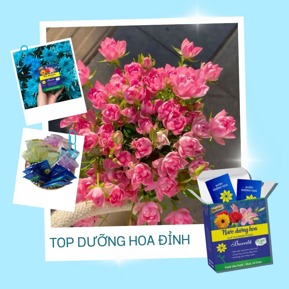 10 Gói dưỡng hoa tươi lâu Bambi cho hoa cắt cành, giúp hoa nở bông to - Hàng chính hãng