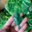 Túi 1kg Cành điểm Cỏ Rêu Lá táo Hoa Cỏ Bi, Bi Nụ, Làm Vòng Kỉ Yếu, Trang Trí, 𝐂𝐨̉ Đ𝐢𝐞̂̉𝐦 𝐓𝐫𝐚𝐧𝐠 𝐓𝐫𝐢́ DUHA 149