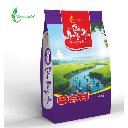 GẠO NÀNG HOA SỮA NON