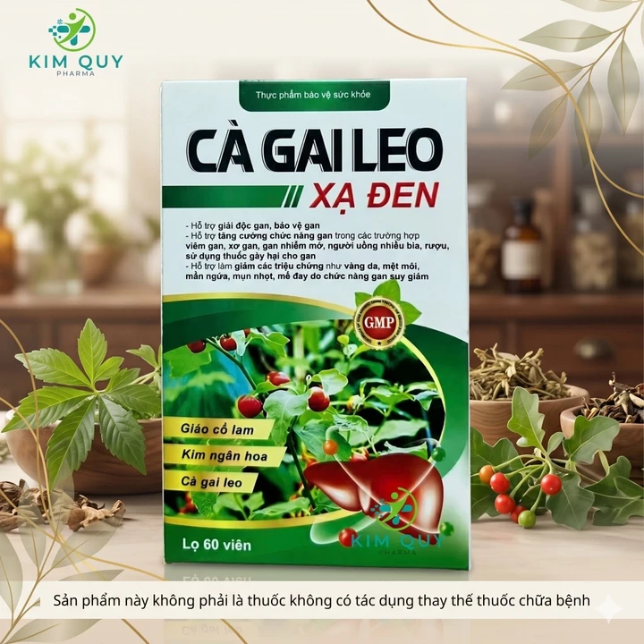 Viên Uống Cà Gai Leo Xạ Đen Giảo Cổ Lam Cao Cấp -Hỗ Trợ Giải Độc Gan Hạ Men Gan Giảm Mẩn Ngứa Mề Đay