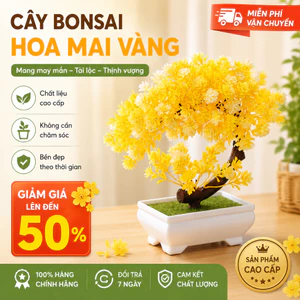 Chậu Cây Bonsai Giả Trang Trí | Cây Cảnh Để Bàn Phòng Khách, Phòng Ngủ | Phong Cách Tối Giản