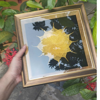Tranh lá bồ đề kích thước 25x25cm khung cao cấp có chân để bàn