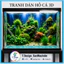 Tranh 3D dán hồ cá, Decal dán hồ cá siêu nét, Kích thước theo yêu cầu - tranh thủy sinh