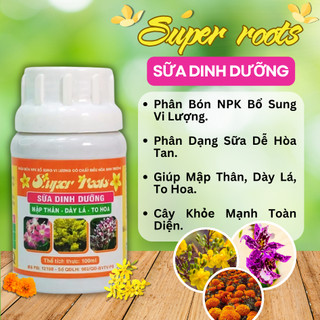 Phân Sữa Dinh Dưỡng SUPER ROOTS 100ml - To Hoa, Dày Lá