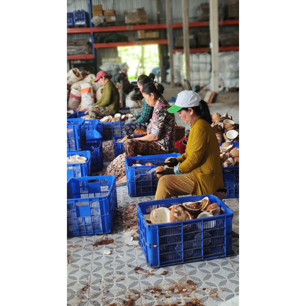 Dầu Dừa Ép Lạnh Nguyên Chất 100% Kim Long – Tách Lạnh Tinh Khiết, Dưỡng Da Tóc_HTXanhminhshop