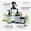 Combo gội xả dừa bồ kết hương nhu Coboté không sulfate không silione giảm gãy rụng tóc, mọc tóc