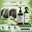 Combo gội xả dừa bồ kết hương nhu Coboté không sulfate không silione giảm gãy rụng tóc, mọc tóc