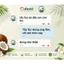Combo gội xả dừa bồ kết hương nhu Coboté không sulfate không silione giảm gãy rụng tóc, mọc tóc