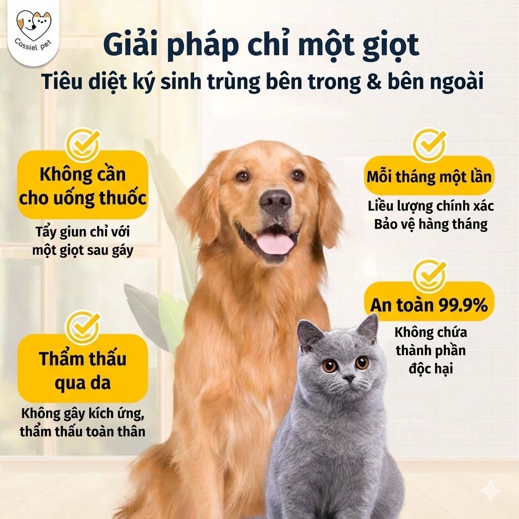Cassiel Pet Dung Dịch Chấm Gáy Diệt Ngăn Ngừa Ve Bọ Chét Cho Chó Mèo – Hỗ Trợ Xua Đuổi Côn Trùng Giảm Ngứa An Toàn