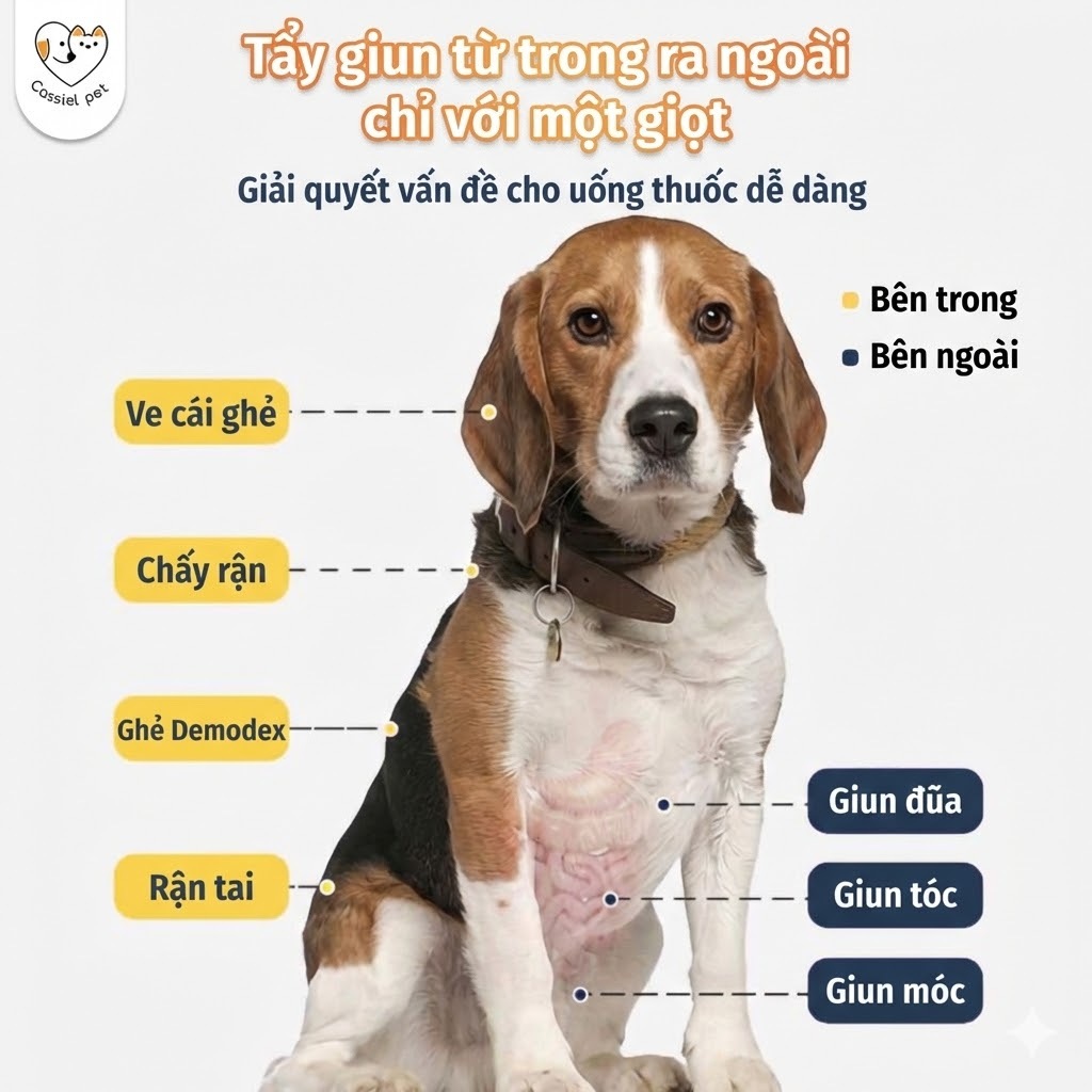 Cassiel Pet Dung Dịch Chấm Gáy Diệt Ngăn Ngừa Ve Bọ Chét Cho Chó Mèo – Hỗ Trợ Xua Đuổi Côn Trùng Giảm Ngứa An Toàn