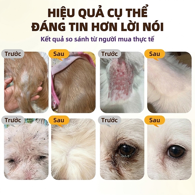 Cassiel Pet Dung Dịch Chấm Gáy Diệt Ngăn Ngừa Ve Bọ Chét Cho Chó Mèo – Hỗ Trợ Xua Đuổi Côn Trùng Giảm Ngứa An Toàn