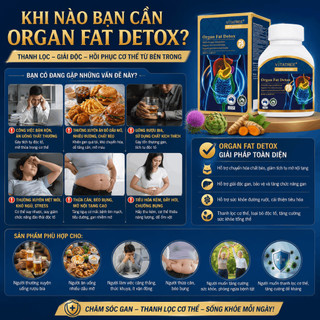 Viên uống thải độc mỡ nội tạng Vitatree Organ Fat Detox hỗ trợ chuyển hoá chất béo hộp 60 viên