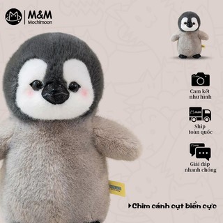 Thú bông chim cánh cụt Bắc Cực —— Gấu bông chim cánh cụt siêu cute, gối ôm đi kèm, ship hàng nhanh