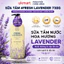 Sữa Tắm nước hoa On The Body Perfume 730g - 900g Hàn Quốc ON: THE BODY PERFUME BODY WASH FRESH