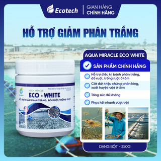 Mua Thùng 12 Hộp Men Vi Sinh Eco White 250g - Hỗ Trợ Giảm Phân Trắng, Ổn Định Đường Ruột, Tôm Cá Ăn Khoẻ
