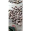 ( 5kg đá cuội size 10-15cm đá setup layout thuỷ sinh ...