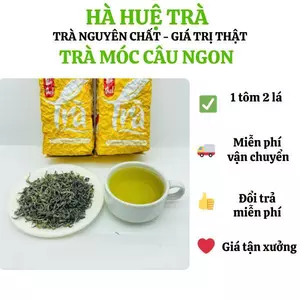 Trà Móc Câu ngon Thái Nguyên hái 1 tôm 2 lá, đậm đà, được nước, hương dịu nhẹ