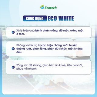 Mua Thùng 12 Hộp Men Vi Sinh Eco White 250g - Hỗ Trợ Giảm Phân Trắng, Ổn Định Đường Ruột, Tôm Cá Ăn Khoẻ