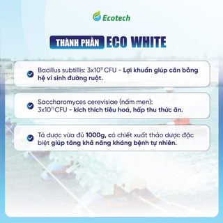 Mua Thùng 12 Hộp Men Vi Sinh Eco White 250g - Hỗ Trợ Giảm Phân Trắng, Ổn Định Đường Ruột, Tôm Cá Ăn Khoẻ