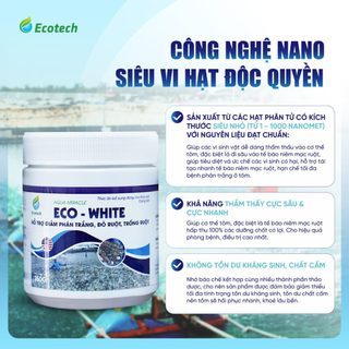 Mua Thùng 12 Hộp Men Vi Sinh Eco White 250g - Hỗ Trợ Giảm Phân Trắng, Ổn Định Đường Ruột, Tôm Cá Ăn Khoẻ