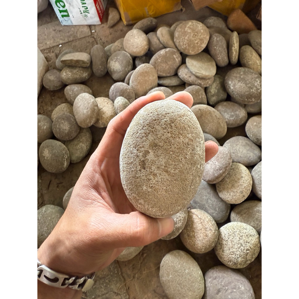 ĐÁ THỦY SINH, ĐÁ SUỐI  ĐỦ SIZE TRANG TRÍ BỂ CÁ THỦY SINH, TRANG TRÍ HÒN NON BỘ ...