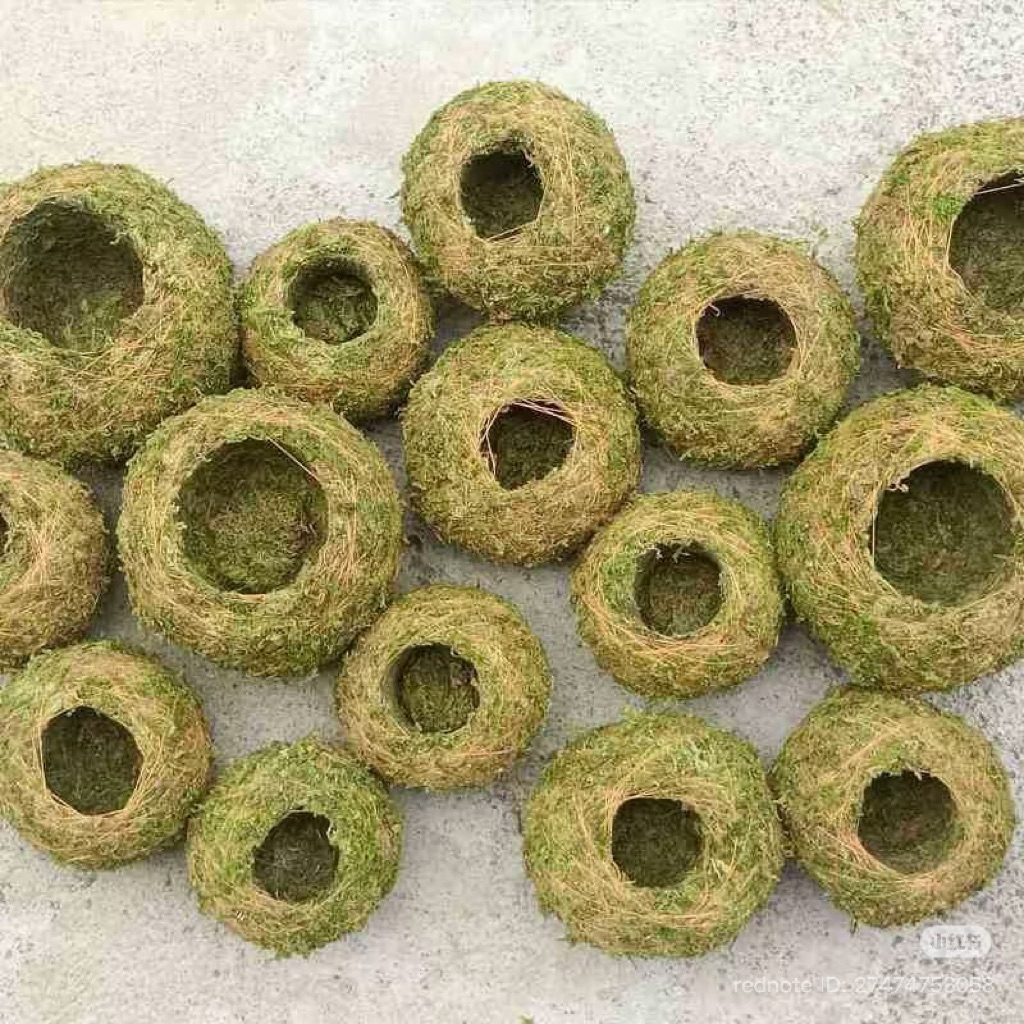 ( AA A kokedama quả cầu rêu tự nhiên đủ kích thước( làm từ rêu tự nhiên hàng làm thủ công) )
