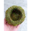 ( .. quả cầu rêu size 9cm . )