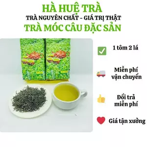 Trà búp móc câu đặc sản Thái Nguyên hái 1 tôm 2 lá, đậm đà, được nước