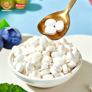 Kẹo Ngậm Trái Cây The Mát - Đập Tan Cơn Buồn Ngủ, Sảng Khoái, Không Calo