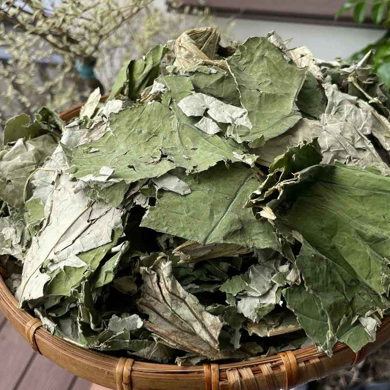Lá Sen Khô Loại 1 Đức Thiện (Khô, Sạch, Thơm) - Hỗ Trợ Mất Ngủ, Mỡ Máu, Cao Huyết Áp, Chống Béo Phì