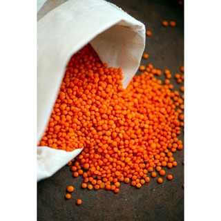 Tempeh đậu lăng đỏ không biến đổi gen Canada gói lá chuối (số 10) - đạm thực vật thay thịt, đậu hũ