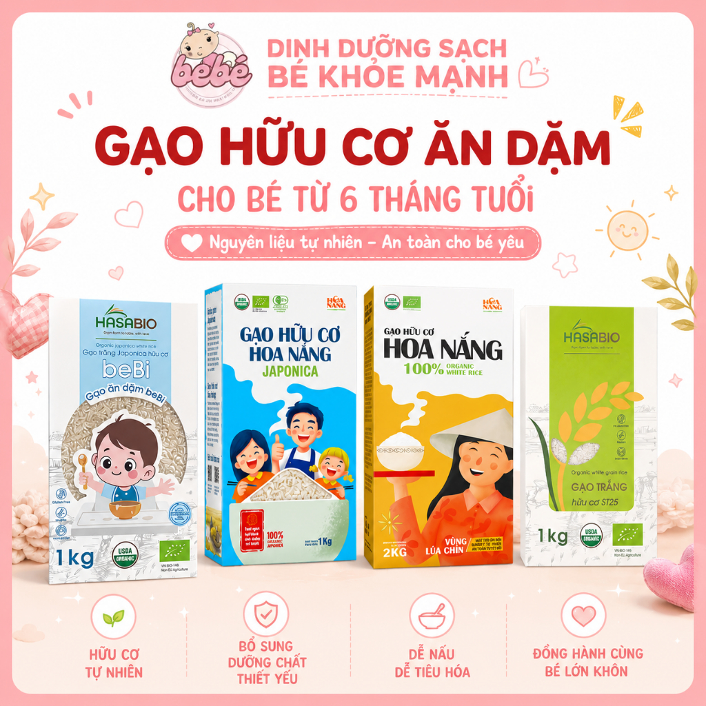 Gạo hữu cơ cho bé ăn dặm Hasabio, Hoa nắng,…Gạo nấu cháo cơm ăn dặm cho bé từ 6 tháng