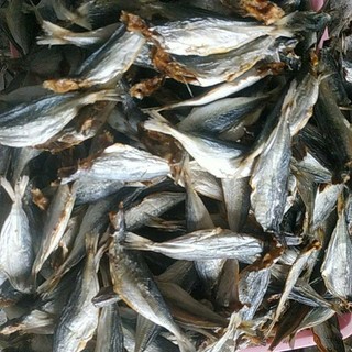 Khô cá nục bỏ đầu, loại ngon. khô hẳn không ướt, vị vừa ăn - 1KG