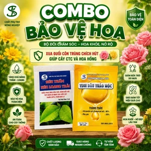 Combo bảo vệ lá hoa