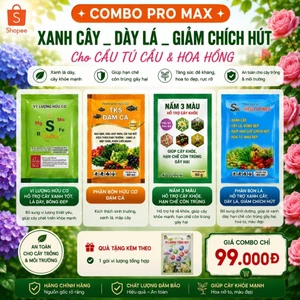 combo nấm 3 màu
