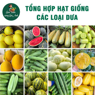 [Tổng Hợp] Hạt Giống Các Loại Dưa: Dưa Hấu, Dưa Lê, Dưa Lưới, Dưa Leo F1 Trồng Chậu, Thùng Xốp