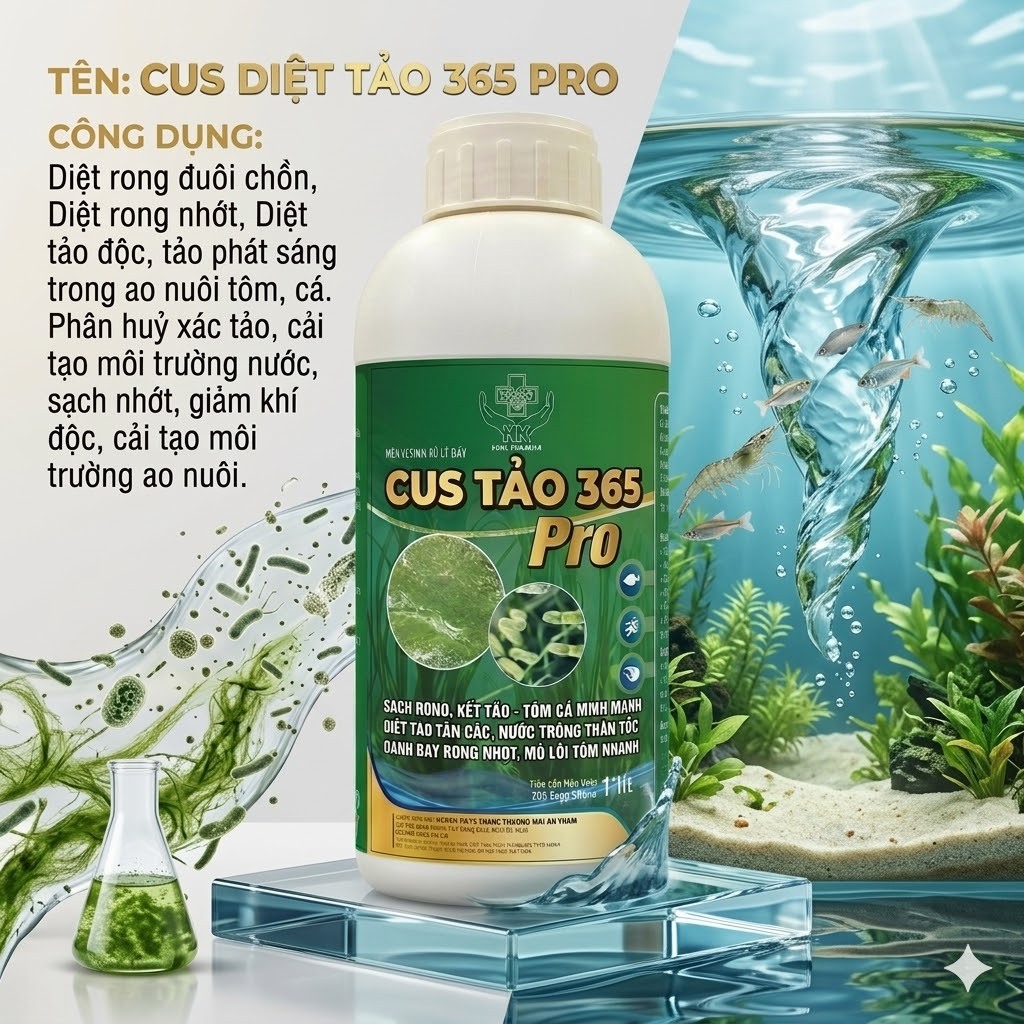 🌊 CUS TẢO 365 PRO – GIẢI PHÁP VÀNG, AN TOÀN CHO AO NUÔI SẠCH RONG, HẾT TẢO ĐỘC