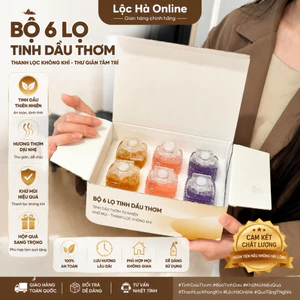 Lọ Tinh Dầu Thơm Calipretty – Lavender, Vanilla, Hoa Hồng – Khử Mùi, Thư Giãn Không Gian - Set 6 Lọ
