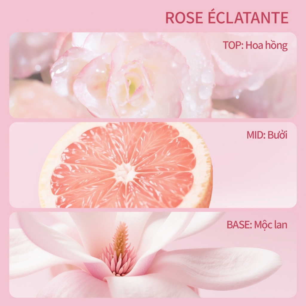 Tinh chất dưỡng trắng toàn thân UILICY 200ml Serum dưỡng thể Hỗ trợ Làm trắng 2%Niacinamide Symwhite377 Rose
