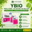 YBio - Men vi sinh hỗ trợ tiêu hóa - Bổ sung lợi khuẩn, hỗ trợ cân bằng hệ vi sinh đường ruột - Hộp 24 gói
