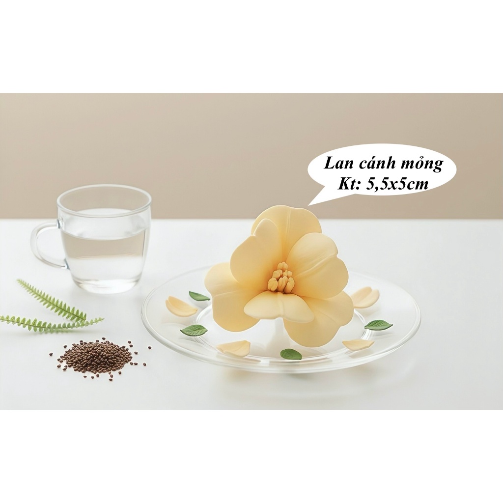 Hoa lan cánh mỏng