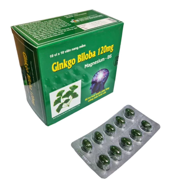 Ginkgo Biloba 120mg Hộp 100 Viên Hỗ Trợ Bổ Não Hoạt Huyết